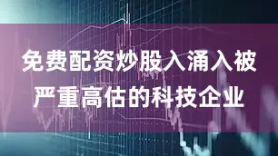 免费配资炒股入涌入被严重高估的科技企业
