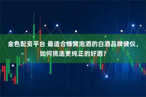 金色配资平台 最适合蜂窝泡酒的白酒品牌健仪，如何挑选更纯正的好酒？