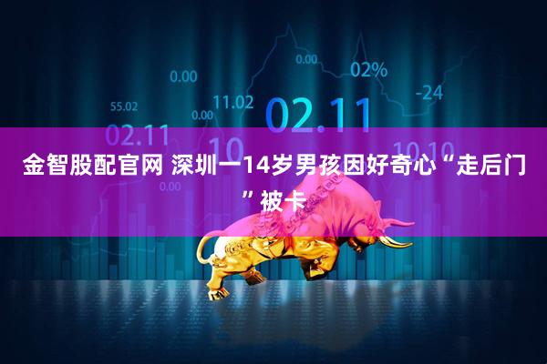 金智股配官网 深圳一14岁男孩因好奇心“走后门”被卡